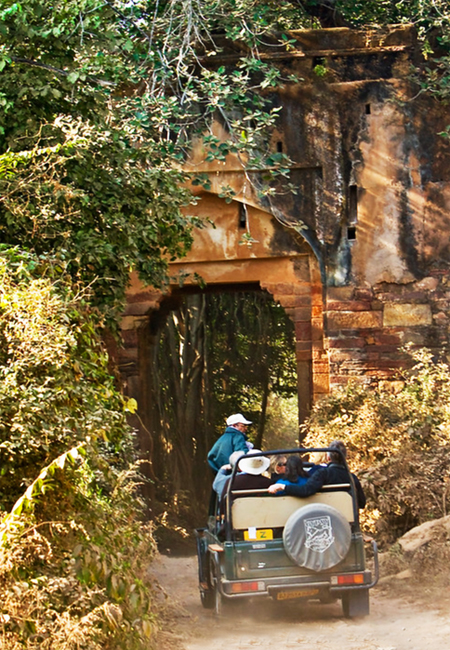 Ranthambore Safari Package 2 Nights Ranthambore Safari Package
